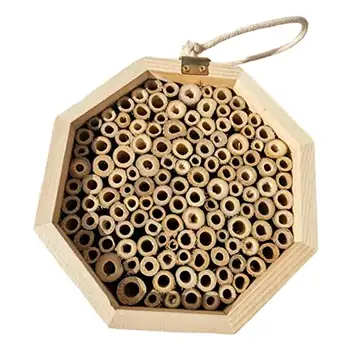 Greatideal Trä honungsbi hus frimurare bi hus hotell insekt bi bikupa för bin fjäril och nyckelpigor, naturligt trä bikupa pollinator, 14 x 14 cm