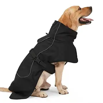 OSIA Hund regnrock varmt medelstora stora hundar reflekterande vattentät och kallt resistent jacka hund kappa xs-2xl