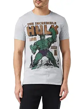 Marvel Herr Hulk Rage T-shirt, Grå (gråmelerad sked, M