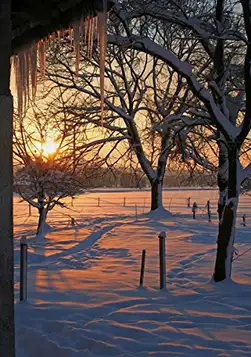 Wee Blue Coo målning landskap morgon soluppgång snö vinter scen väggkonst tryck