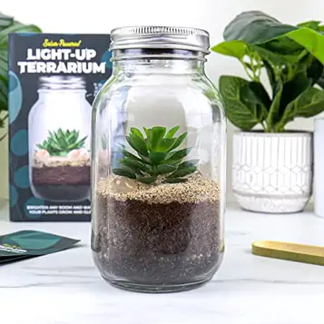 Gift Republic – Soldrivet terrarium