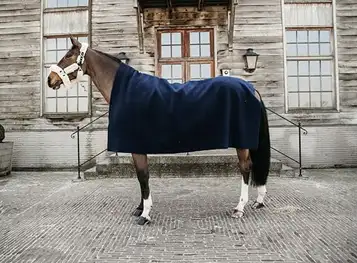 Kentucky Square drying horse blanket