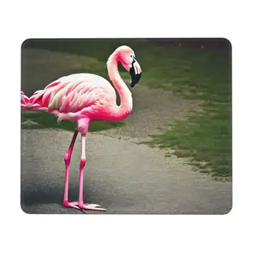 Ogniwo Spelmusmatta, stor datortangentbord musmatta skrivbordsdyna för hemmakontor spelarbete, rosa flamingo