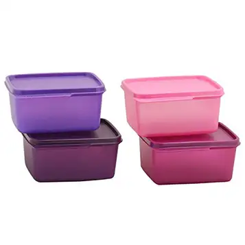 Tupperware Tupin Keep Tab Plastic Container Set (500ml, Multicolor) Set of 4