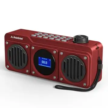 Avantree Boombyte Bärbar FM-radio och Bluetooth-högtalare med dubbla drivrutiner (14W), högvolym stereoljud, Micro SD-kortplats och USB-port ljudingång, 17 timmars uppladdningsbar MP3-spelare