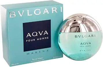 Bvlgari Bulgari Aqva Marine homme/man Eau de Toilette, 100 ml