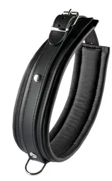 Hidden Desire Collar Black 5 Cm