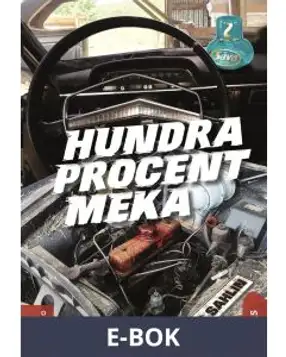 Hundra procent meka, E-bok